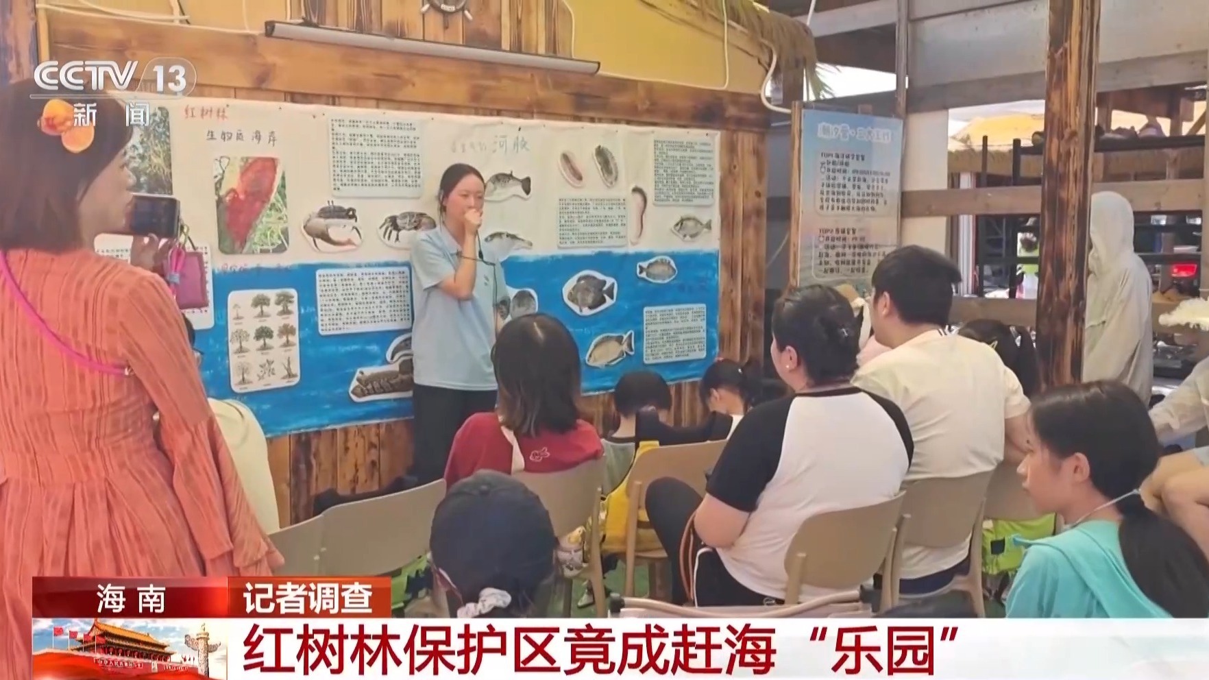 地笼泛滥 红树林保护区竟成赶海“乐园”!记者调查 地笼泛滥 红树林保护区竟成赶海“乐园”!记者调查