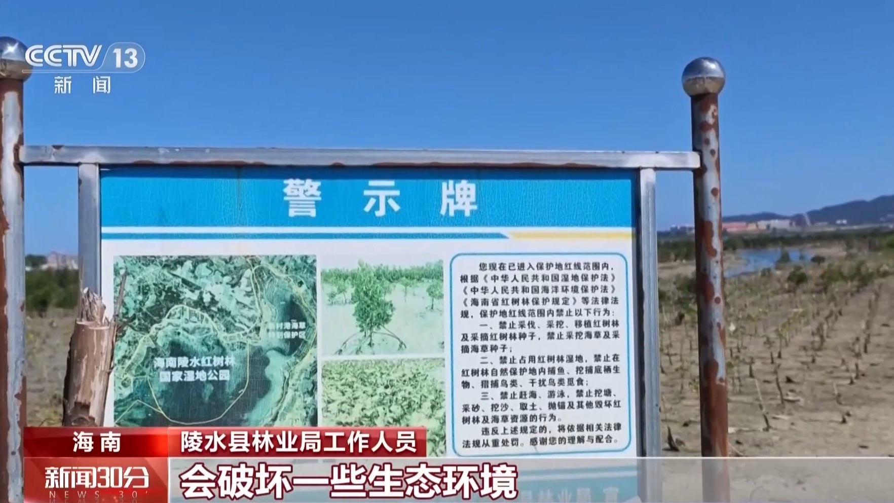 地笼泛滥 红树林保护区竟成赶海“乐园”!记者调查 地笼泛滥 红树林保护区竟成赶海“乐园”!记者调查