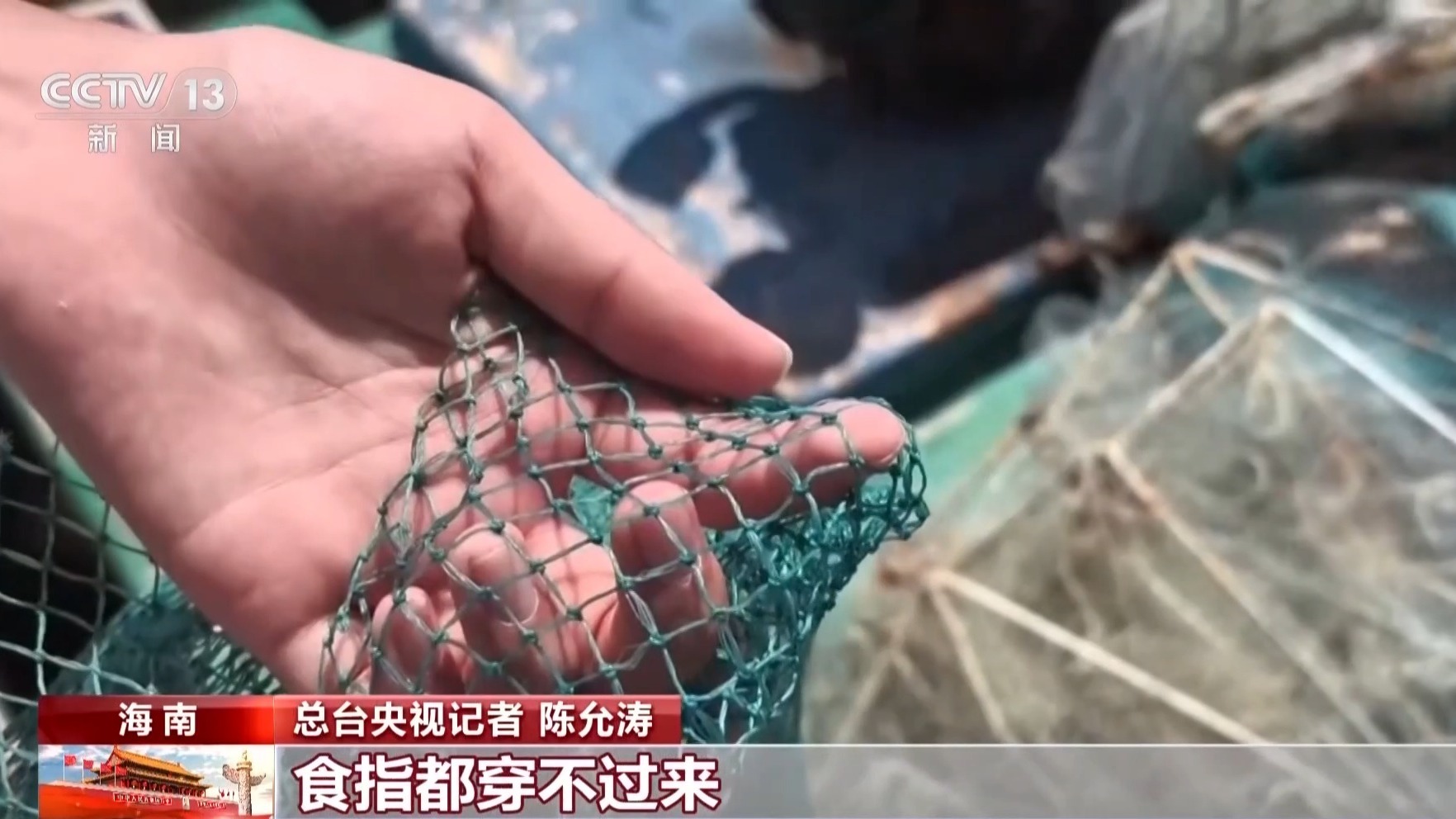 地笼泛滥 红树林保护区竟成赶海“乐园”!记者调查 地笼泛滥 红树林保护区竟成赶海“乐园”!记者调查