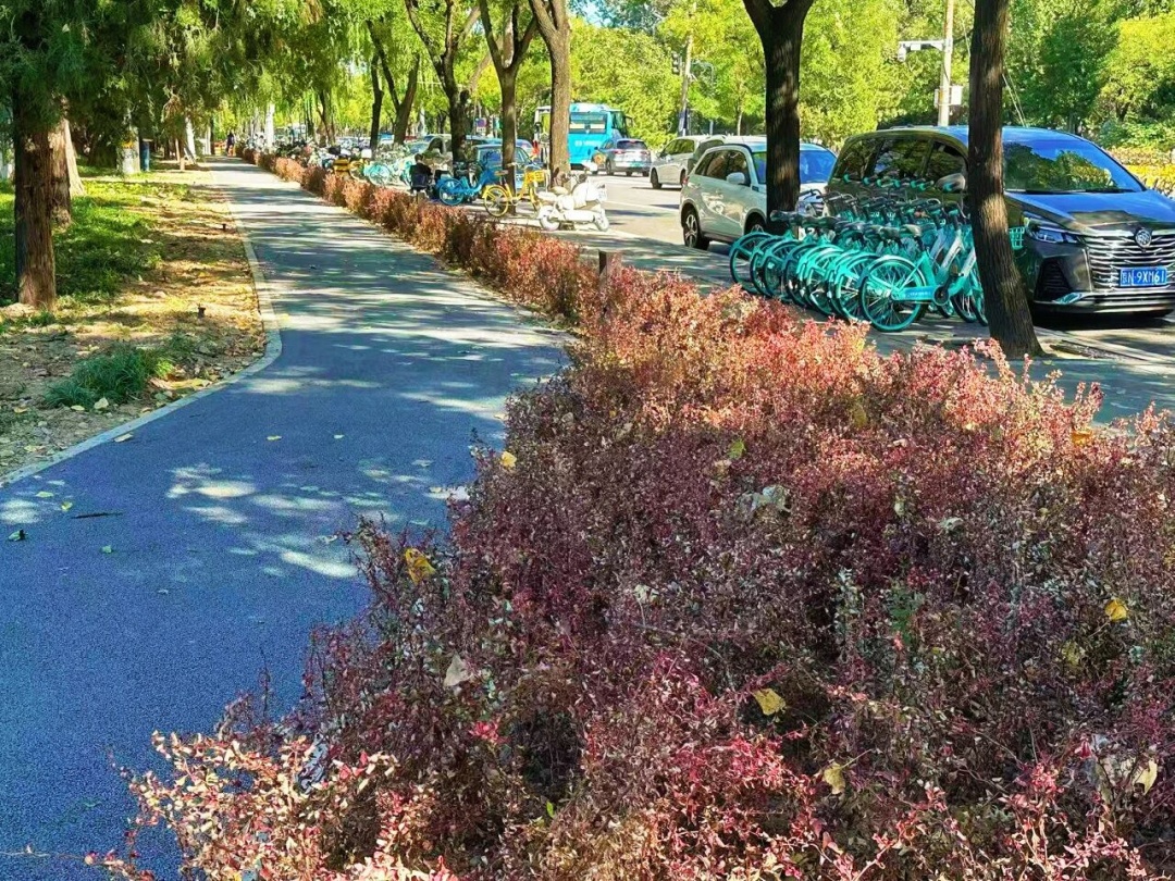 北京中小学校门口的“等候”，温暖升级！