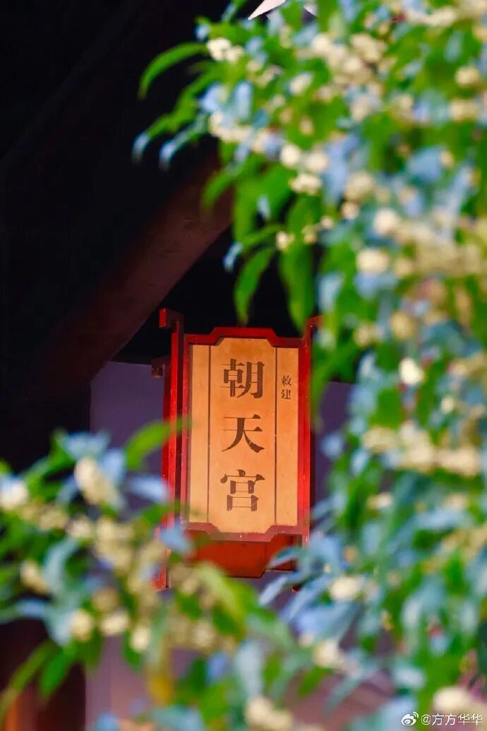 江苏温差居然有14℃，这就是寒露的厉害吗？寒露时节哪里赏菊正当时请查收：