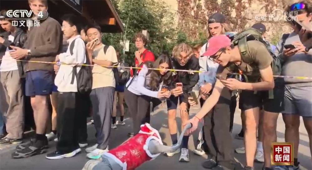 从“过境”到“停留”、从“观景”到“生活” 入境游市场内生活力充分迸发 从“过境”到“停留”、从“观景”到“生活” 入境游市场内生活力充分迸发