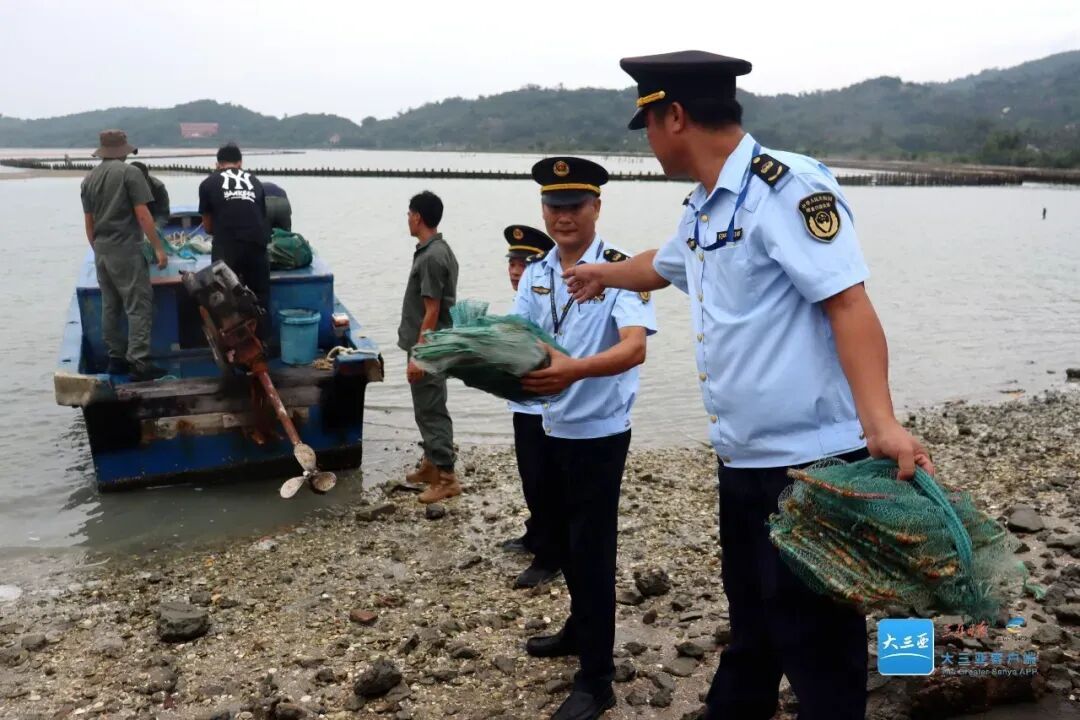 红树林保护区成“赶海乐园”,三亚:传唤5名负责人接受调查 红树林保护区成“赶海乐园”,三亚:传唤5名负责人接受调查