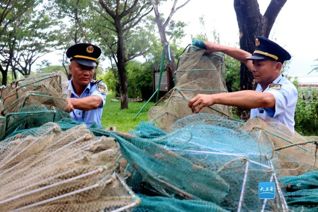 红树林保护区成“赶海乐园”,三亚:传唤5名负责人接受调查 红树林保护区成“赶海乐园”,三亚:传唤5名负责人接受调查