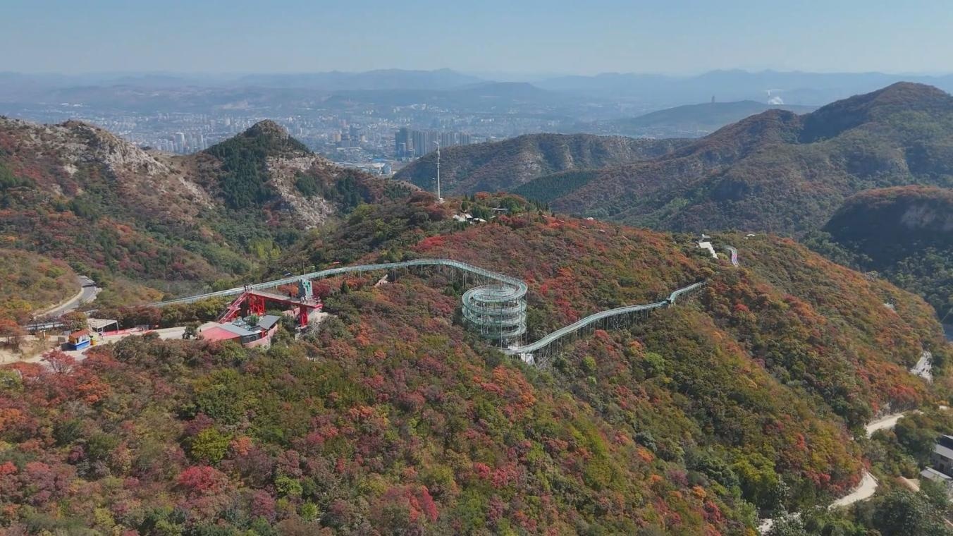 山东淄博万亩红叶迎来观赏期