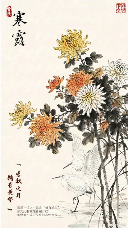 今日寒露,寒露时节宜赏秋 今日寒露,寒露时节宜赏秋
