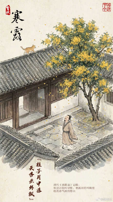 今日寒露,寒露时节宜赏秋 今日寒露,寒露时节宜赏秋