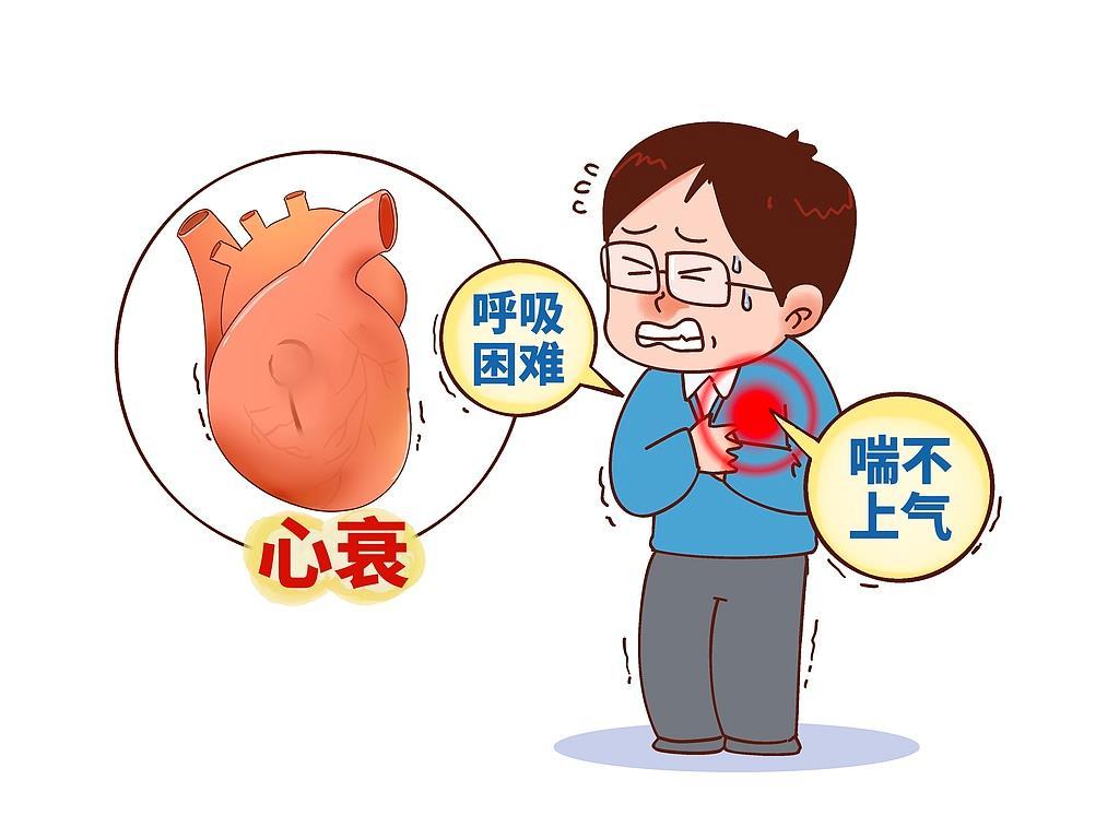 节后急着掉秤?内脏脂肪才是关键 一文看懂怎么减 节后急着掉秤?内脏脂肪才是关键 一文看懂怎么减