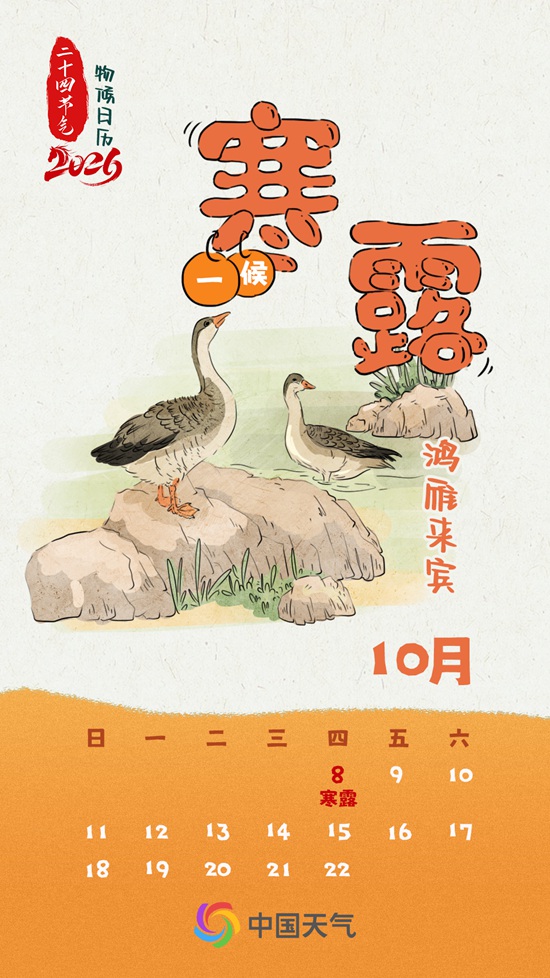 寒露秋色正浓 全国秋菊绽放地图看哪里“菊”势正好 寒露秋色正浓 全国秋菊绽放地图看哪里“菊”势正好