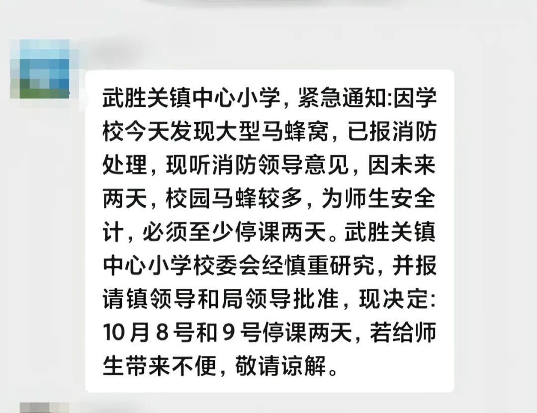 湖北随州一小学发现“水桶大”马蜂窝停课两天,有老师被蛰伤,官方:已处理并继续消杀 湖北随州一小学发现“水桶大”马蜂窝停课两天,有老师被蛰伤,官方:已处理并继续消杀