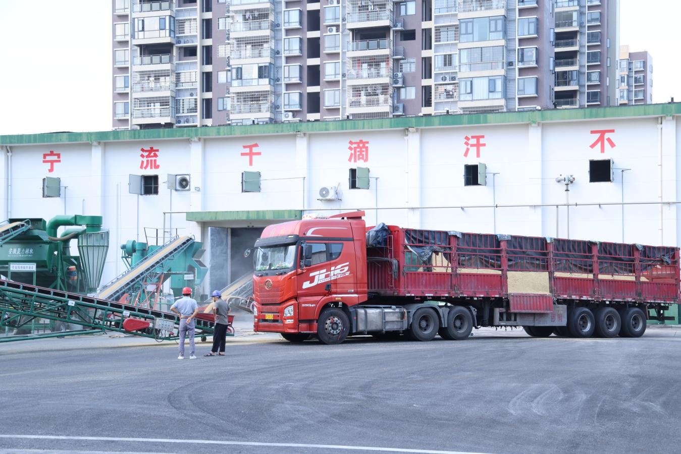 江西瑞金:秋粮陆续上市 粮食收购有序进行 江西瑞金:秋粮陆续上市 粮食收购有序进行