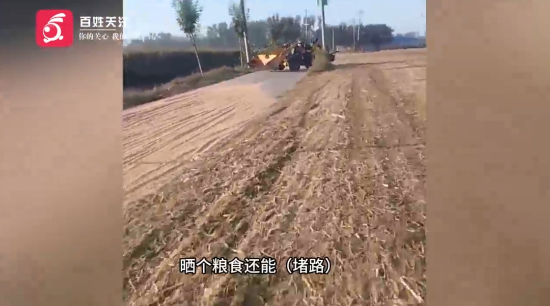 村道变“晒粮场”？河南一村道疑似村民晒粮致堵路，乡政府：安排清理！