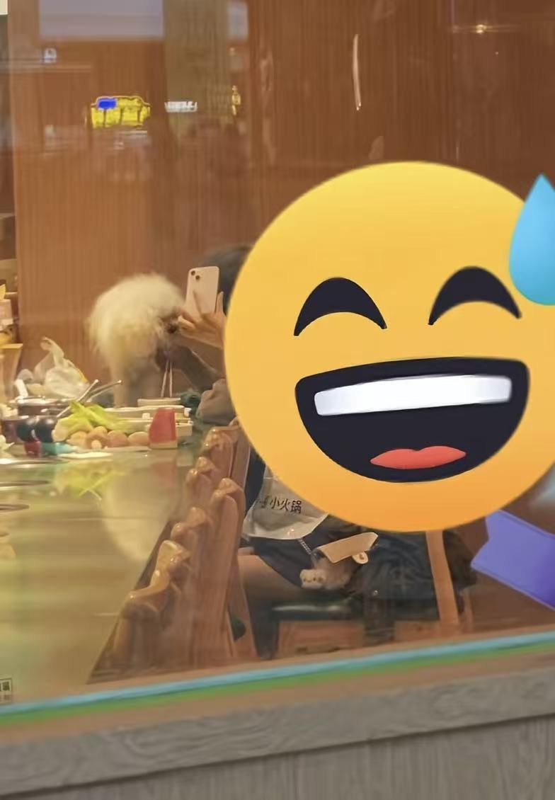 衡阳一自助火锅店有宠物狗上桌,商家:当天客人两倍退款,销毁所有餐具,停业消杀三天 衡阳一自助火锅店有宠物狗上桌,商家:当天客人两倍退款,销毁所有餐具,停业消杀三天