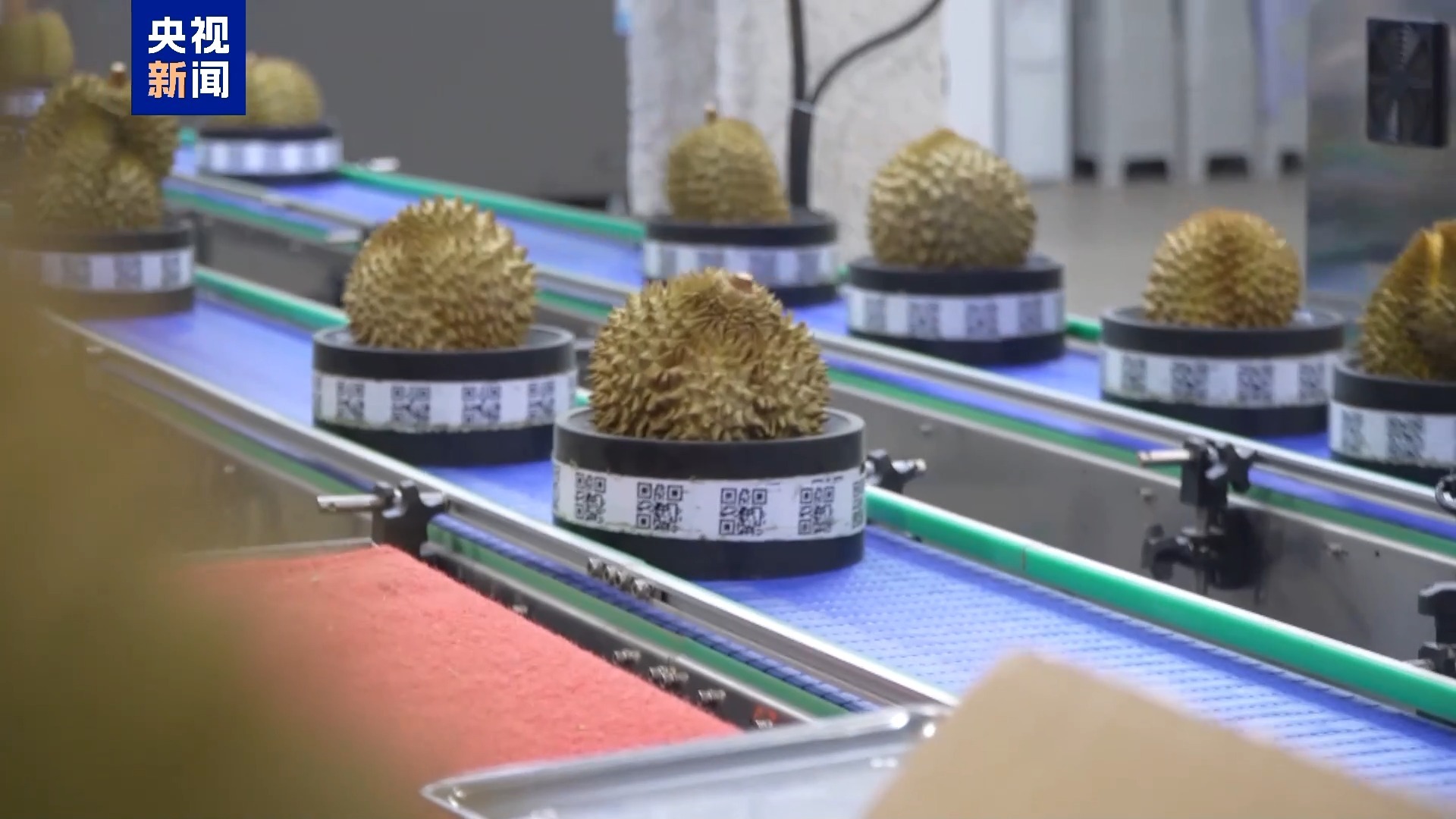 十月还能吃上鲜西瓜？一张物流网让百姓月月吃新瓜