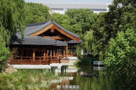 上海千年古银杏园焕新 上海千年古银杏园焕新