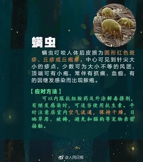 别碰!昆明男子被咬伤,半小时内全身皮疹、呼吸困难,看到立刻上报 别碰!昆明男子被咬伤,半小时内全身皮疹、呼吸困难,看到立刻上报