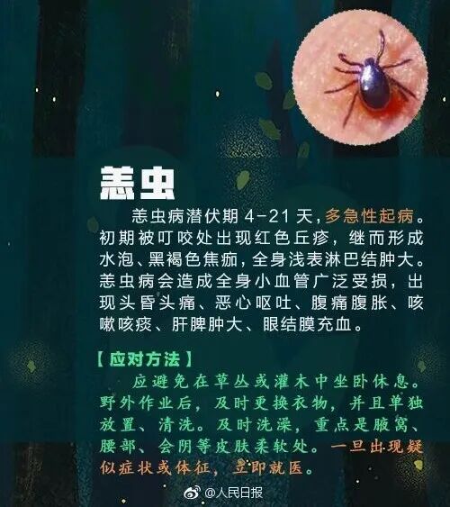 别碰!昆明男子被咬伤,半小时内全身皮疹、呼吸困难,看到立刻上报 别碰!昆明男子被咬伤,半小时内全身皮疹、呼吸困难,看到立刻上报