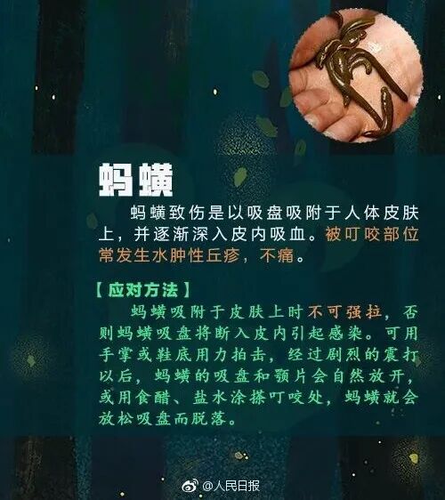 别碰!昆明男子被咬伤,半小时内全身皮疹、呼吸困难,看到立刻上报 别碰!昆明男子被咬伤,半小时内全身皮疹、呼吸困难,看到立刻上报