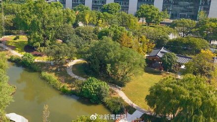 上海千年古银杏园焕新 上海千年古银杏园焕新