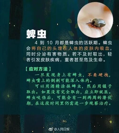别碰!昆明男子被咬伤,半小时内全身皮疹、呼吸困难,看到立刻上报 别碰!昆明男子被咬伤,半小时内全身皮疹、呼吸困难,看到立刻上报