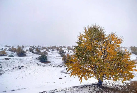 青海贵南迎降雪 木格滩沙漠上演限时“雪漠”景观