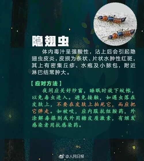 别碰!昆明男子被咬伤,半小时内全身皮疹、呼吸困难,看到立刻上报 别碰!昆明男子被咬伤,半小时内全身皮疹、呼吸困难,看到立刻上报