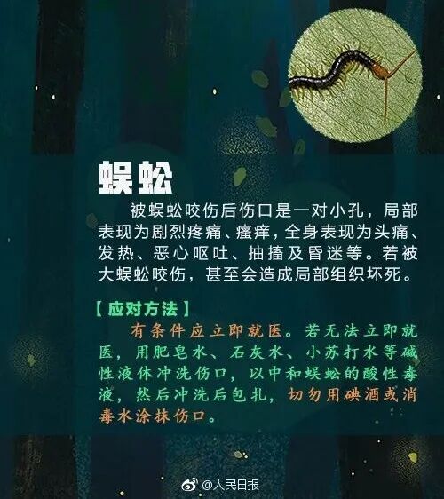 别碰!昆明男子被咬伤,半小时内全身皮疹、呼吸困难,看到立刻上报 别碰!昆明男子被咬伤,半小时内全身皮疹、呼吸困难,看到立刻上报