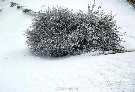 青海贵南迎降雪 木格滩沙漠上演限时“雪漠”景观