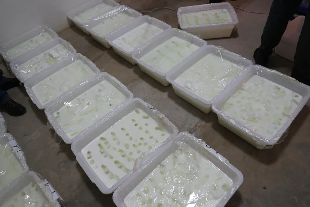 收网！警方缴毒567.55千克、查获洗衣机等全套制毒加工工具！