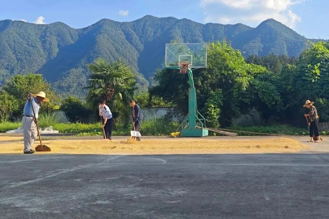 老乡,欢迎来派出所 老乡,欢迎来派出所
