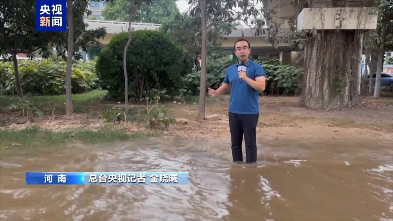 从“头痛医头”到全域统筹 六网交织托举起万家灯火