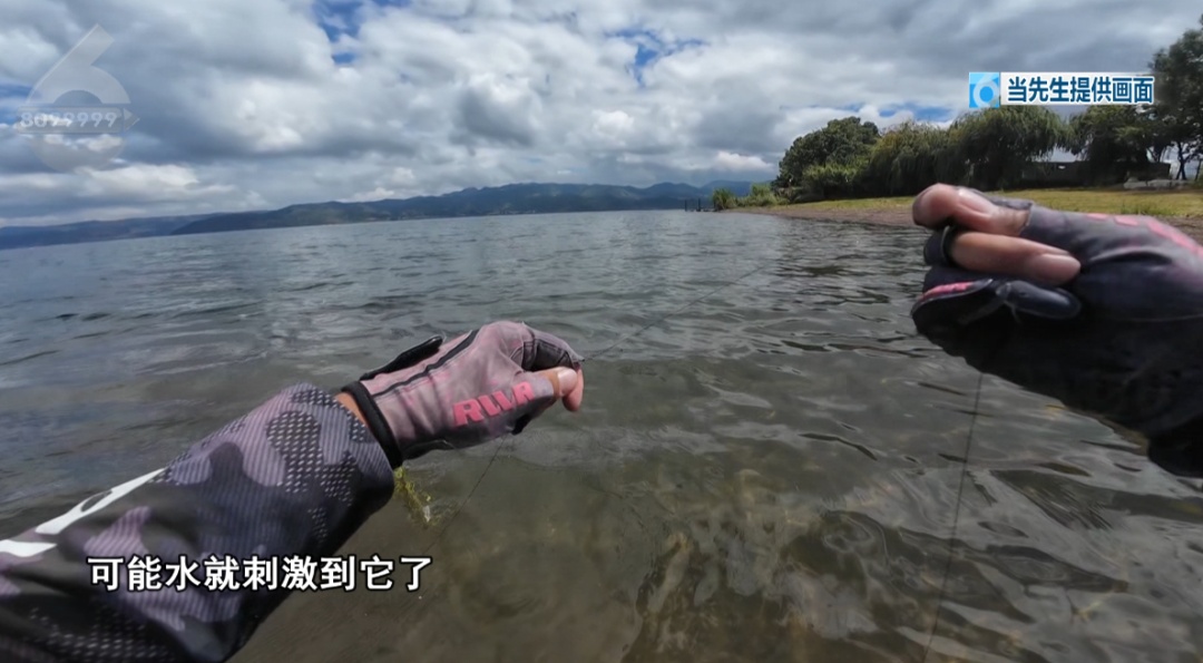 别碰!昆明男子被咬伤,半小时内全身皮疹、呼吸困难,看到立刻上报 别碰!昆明男子被咬伤,半小时内全身皮疹、呼吸困难,看到立刻上报