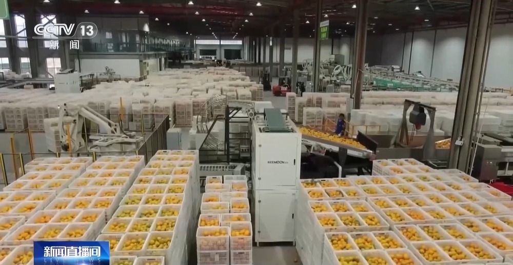 国家邮政局：我国年人均快递使用量超140件