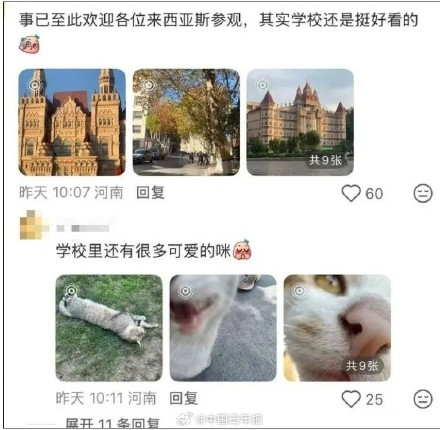 伦敦买的“大本钟”冰箱贴，印的是河南高校？回应来了……