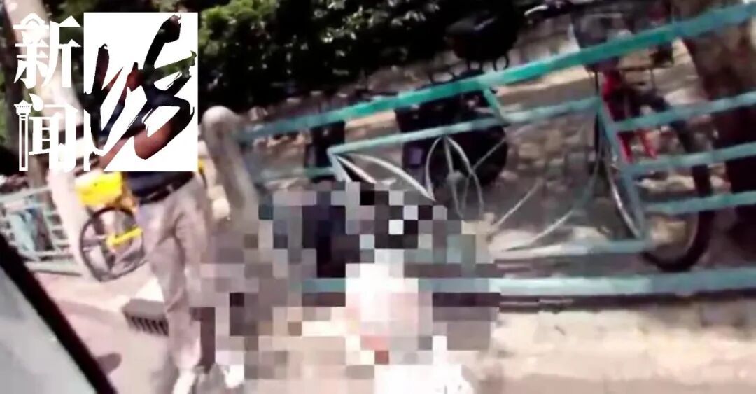"不能顺从她的意愿"!上海民警街头的"固执"行为,救了她一命! "不能顺从她的意愿"!上海民警街头的"固执"行为,救了她一命!