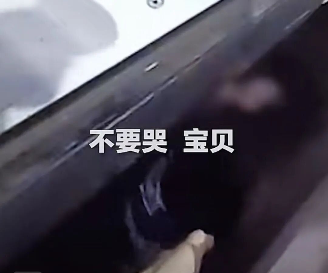 揪心!幼童跟在妈妈身后登车掉进高铁站台缝隙,现场一片惊呼,乘警紧急出手 揪心!幼童跟在妈妈身后登车掉进高铁站台缝隙,现场一片惊呼,乘警紧急出手