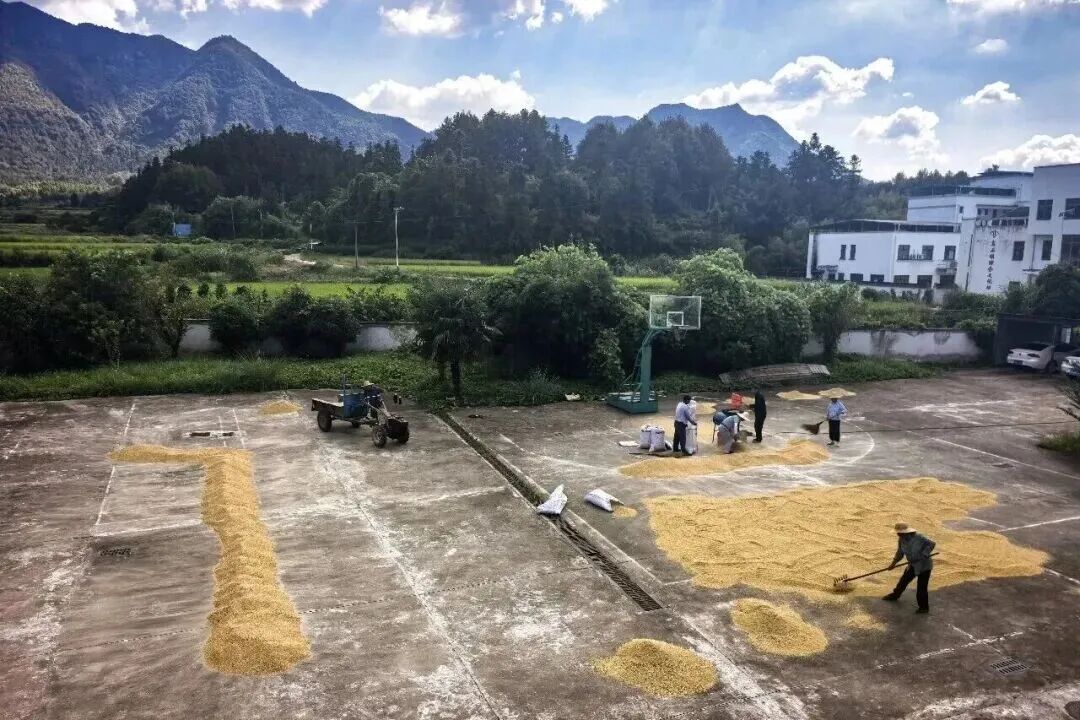 老乡,欢迎来派出所 老乡,欢迎来派出所