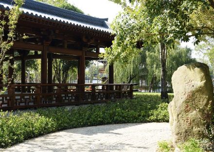 上海千年古银杏园焕新 上海千年古银杏园焕新