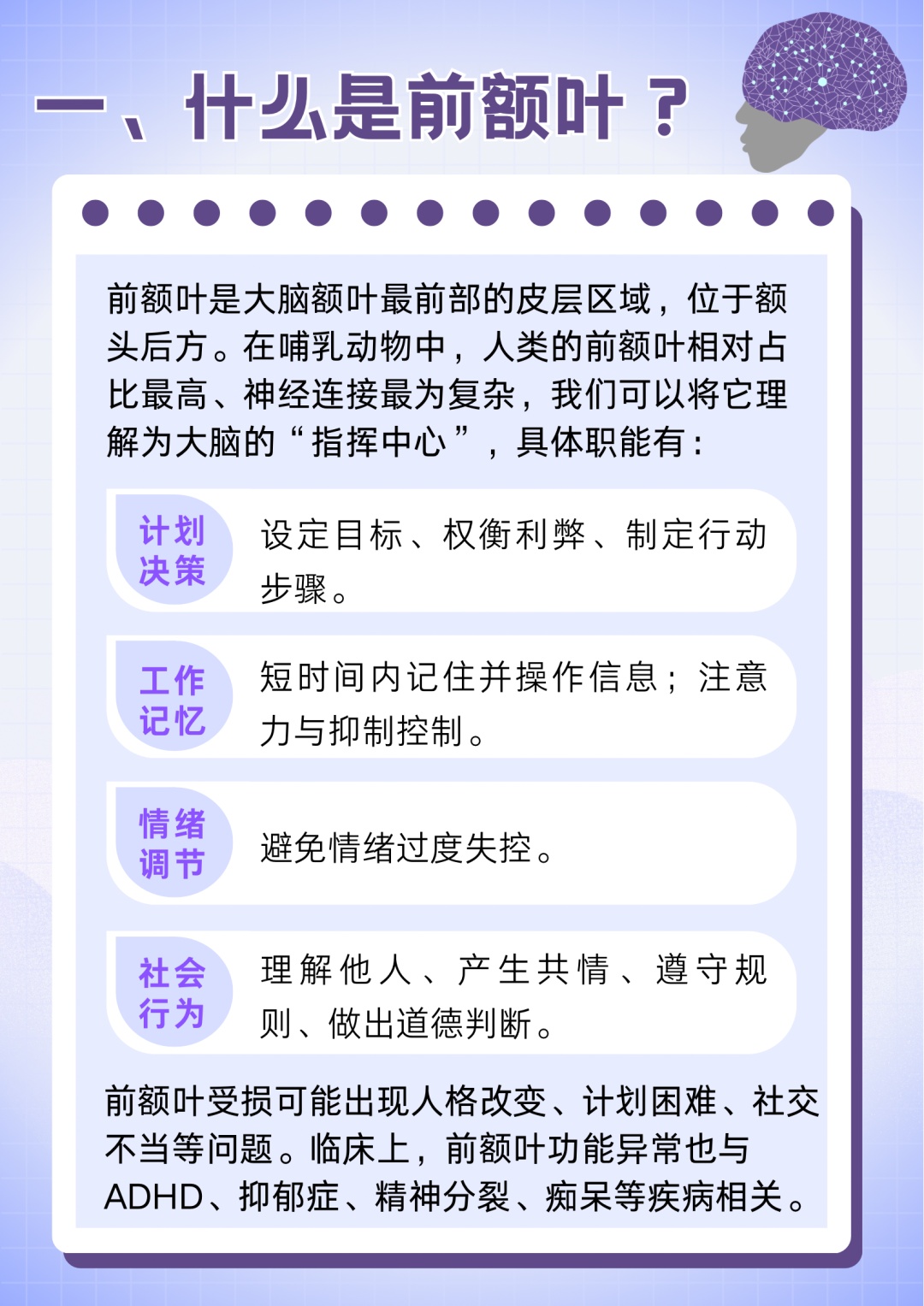 今天起,请尊重一下你的前额叶! 今天起,请尊重一下你的前额叶!