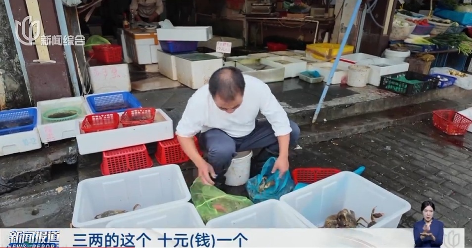 上海人超爱的美味，今年行情两极分化明显！市民：从没听到过的价格