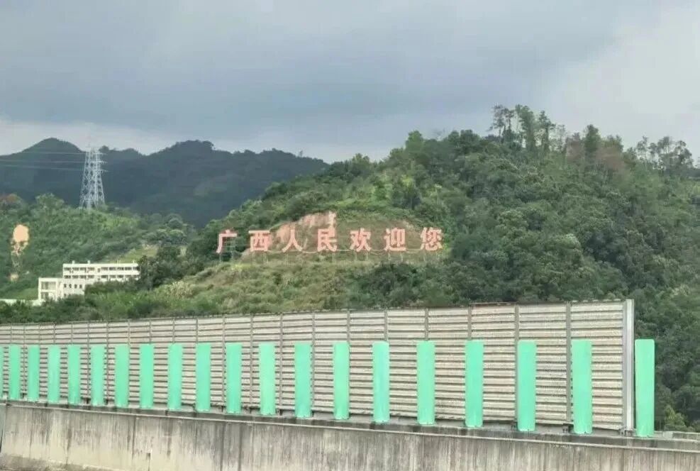 网友:树枝挡到我拍照了!广西:马上处理! 网友:树枝挡到我拍照了!广西:马上处理!