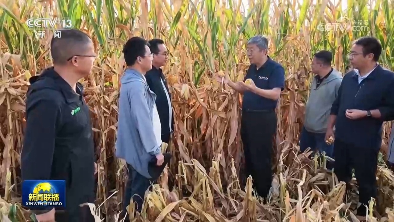 【在希望的田野上】全国秋粮收获进度过半 秋冬种陆续展开
