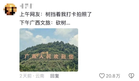网友:树枝挡到我拍照了!广西:马上处理! 网友:树枝挡到我拍照了!广西:马上处理!