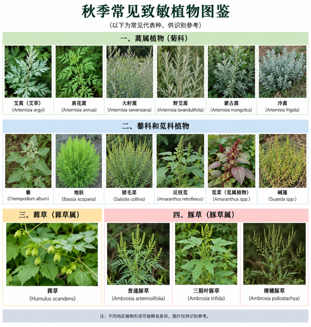 秋冬“风疙瘩”找上门!止痒第一步千万别做这件事! 秋冬“风疙瘩”找上门!止痒第一步千万别做这件事!