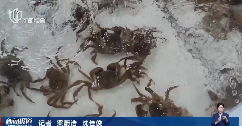 上海人超爱的美味，今年行情两极分化明显！市民：从没听到过的价格