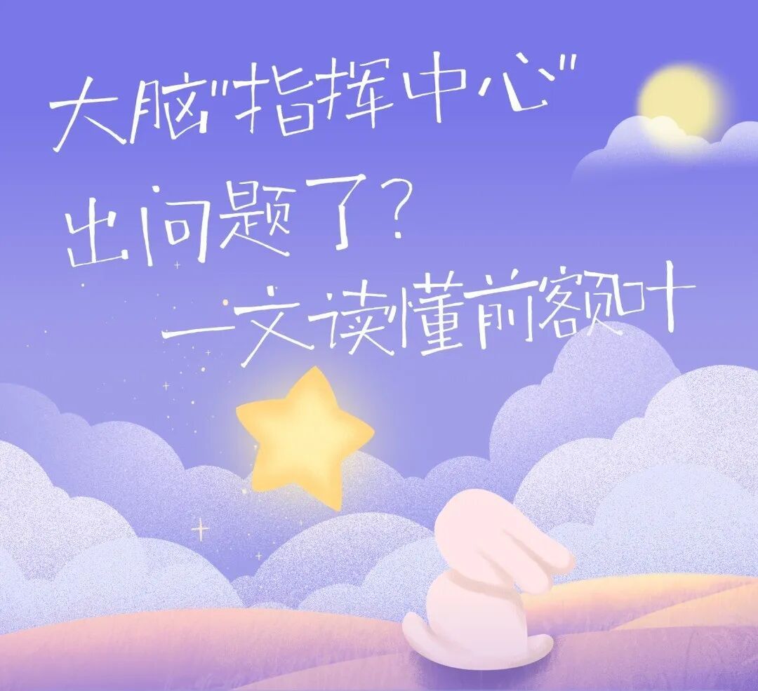 今天起,请尊重一下你的前额叶! 今天起,请尊重一下你的前额叶!