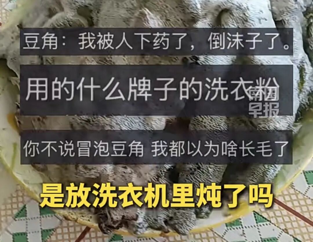 女子吐槽妈妈炖的豆角疯狂冒泡!还以为长毛了…网友:放洗衣机里炖的? 女子吐槽妈妈炖的豆角疯狂冒泡!还以为长毛了…网友:放洗衣机里炖的?