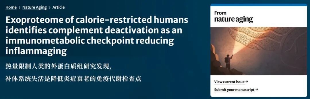 一个被低估的抗炎方法：每天这样吃饭，炎症降了、衰老慢了