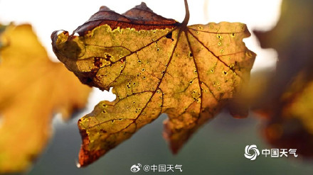 北京秋天的色号藏在每片树叶里 北京秋天的色号藏在每片树叶里