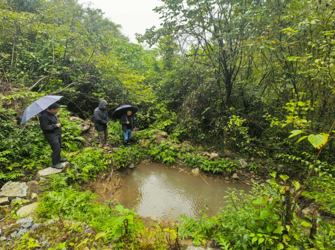3亿年 “生物活化石”！湖北长阳成功繁育放归